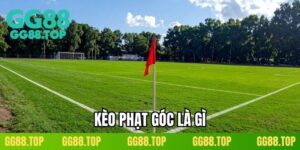 keo-phat-goc-la-gi